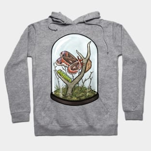 Cecropia Moth Terrarium Hoodie